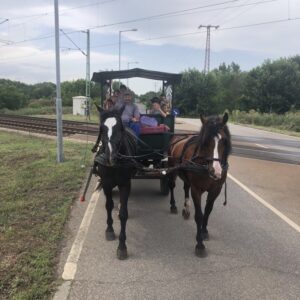 Napközi Erzsébet-tábor 1-2. évfolyam