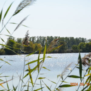 Horgászverseny