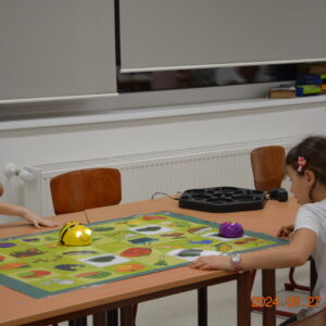 Kutatók éjszakája - Micro bit és tudományos játszóház