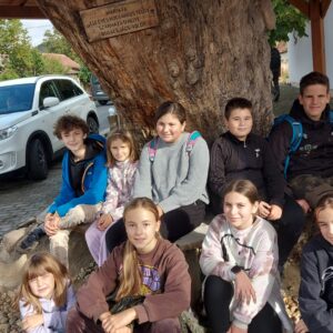 Less Nándor túra