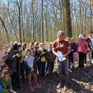 Farkasszigeti látogatás - talajszelvény megtekintése