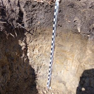 Farkasszigeti látogatás - talajszelvény megtekintése