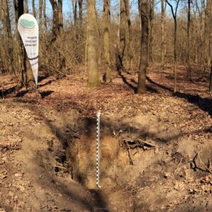 Farkasszigeti látogatás - talajszelvény megtekintése