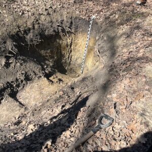 Farkasszigeti látogatás - talajszelvény megtekintése