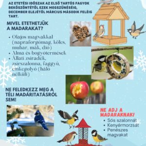 Etessük a madarakat!