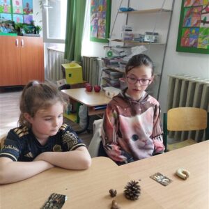 Iskolában az erdő foglalkozás