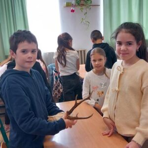 Iskolában az erdő foglalkozás