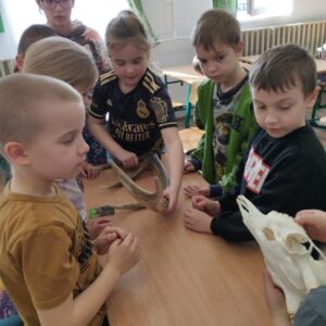 Iskolában az erdő foglalkozás