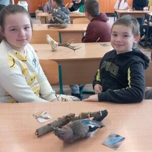 Iskolában az erdő foglalkozás