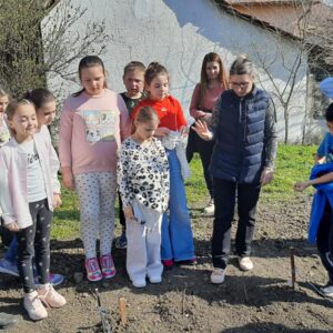 Iskolakert - Kikelet hava II.
