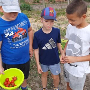 Kerti hírmondó: Szent Jakab és Kisasszony hava
